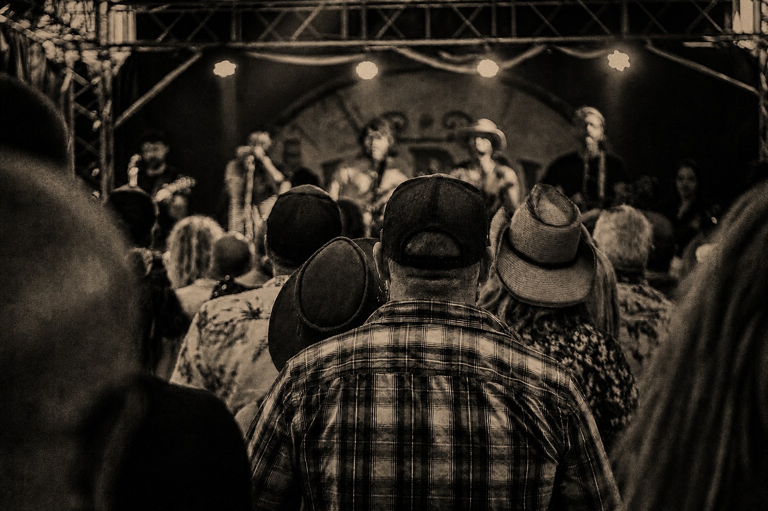 Crowd watching a live band